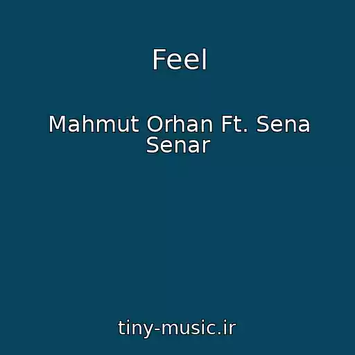کاور آهنگ Feel از Mahmut Orhan Ft. Sena Senar