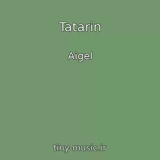 کاور آهنگ Tatarin از Aigel