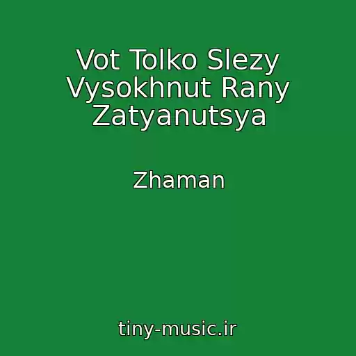 کاور آهنگ Vot Tolko Slezy Vysokhnut Rany Zatyanutsya از Zhaman