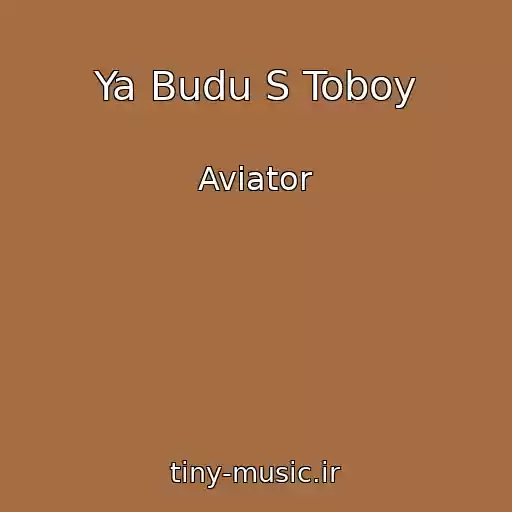 کاور آهنگ Ya Budu S Toboy از Aviator