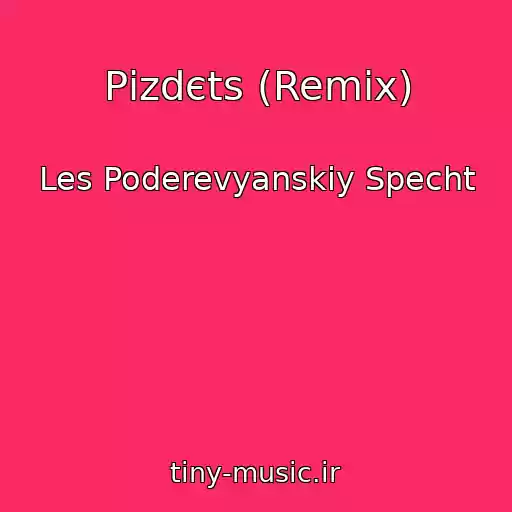 کاور آهنگ Pіzdєts (Remix) از Les Poderevyanskiy Specht