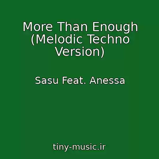 کاور آهنگ More Than Enough (Melodic Techno Version) از Sasu Feat. Anessa