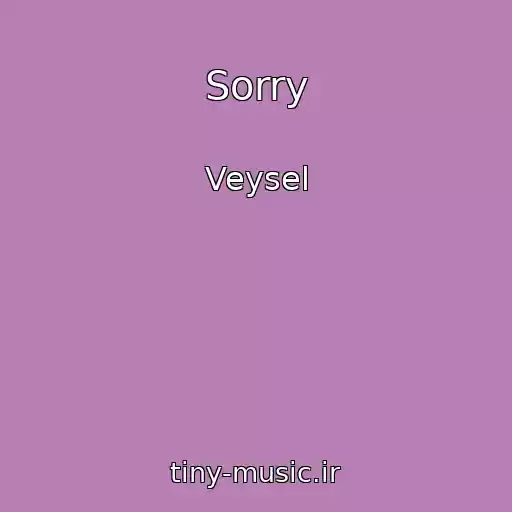 کاور آهنگ Sorry از Veysel