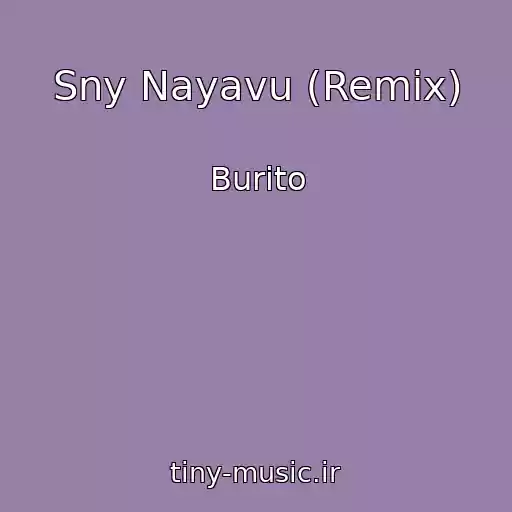 کاور آهنگ Sny Nayavu (Remix) از Burito