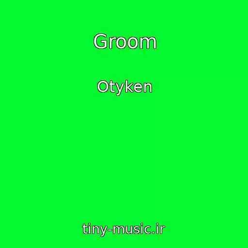 کاور آهنگ Groom از Otyken