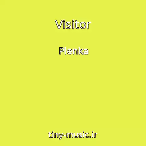 کاور آهنگ Visitor از Plenka