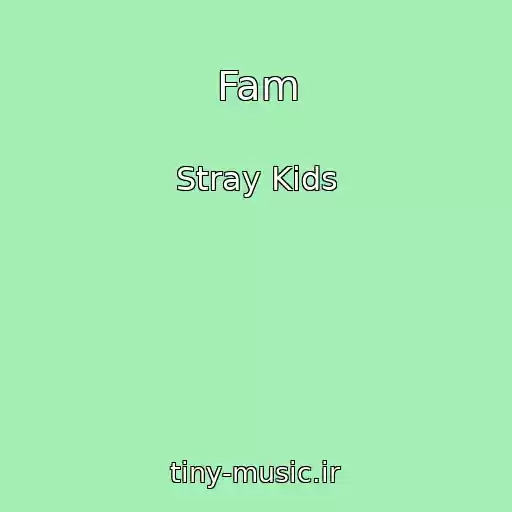 کاور آهنگ Fam از Stray Kids
