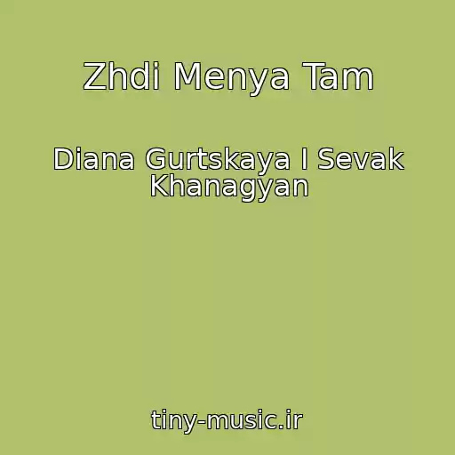کاور آهنگ Zhdi Menya Tam از Diana Gurtskaya I Sevak Khanagyan