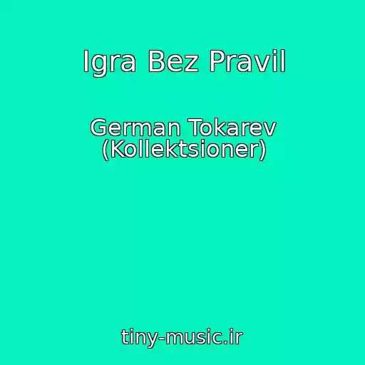 کاور آهنگ Igra Bez Pravil از German Tokarev (Kollektsioner)