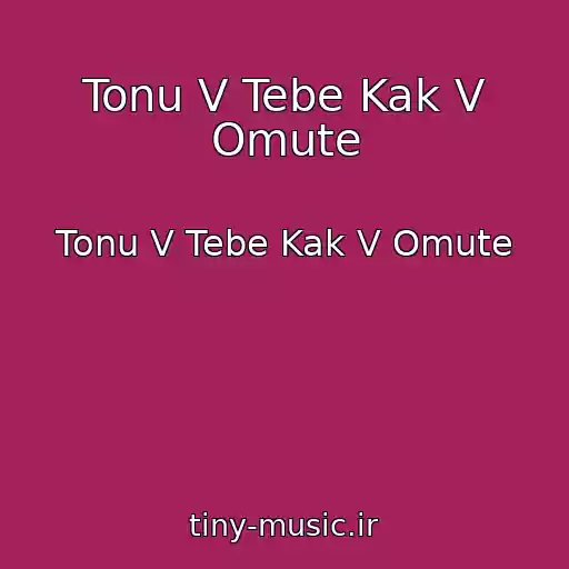 کاور آهنگ Tonu V Tebe Kak V Omute از Tonu V Tebe Kak V Omute