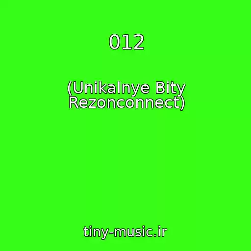 کاور آهنگ 012 از (Unikalnye Bity Rezonconnect)