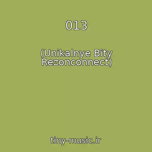 کاور آهنگ 013 از (Unikalnye Bity Rezonconnect)