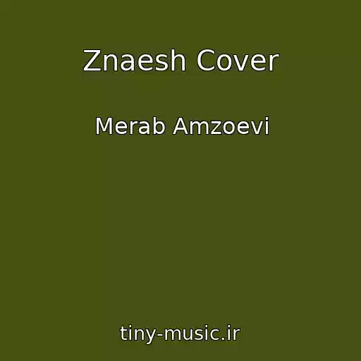 کاور آهنگ Znaesh Cover از Merab Amzoevi