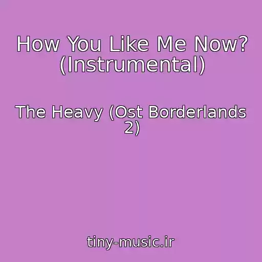 کاور آهنگ How You Like Me Now? (Instrumental) از The Heavy (Ost Borderlands 2)