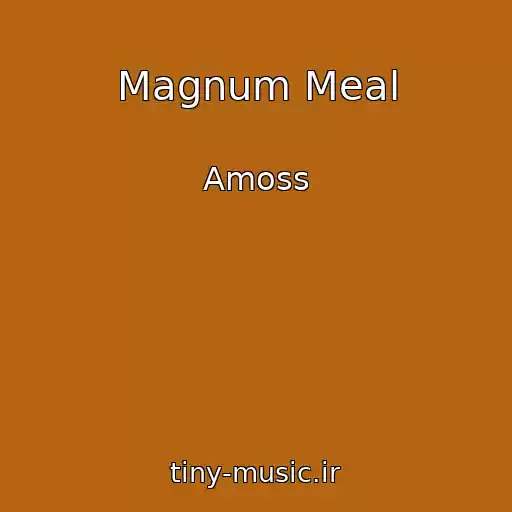 کاور آهنگ Magnum Meal از Amoss