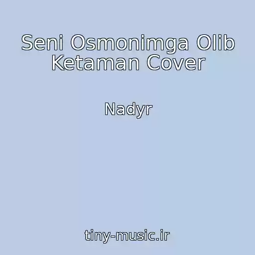 کاور آهنگ Seni Osmonimga Olib Ketaman Cover از Nadyr
