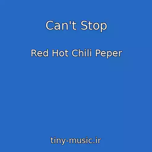 کاور آهنگ Can't Stop از Red Hot Chili Peper