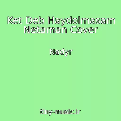 کاور آهنگ Ket Deb Haydolmasam Netaman Cover از Nadyr
