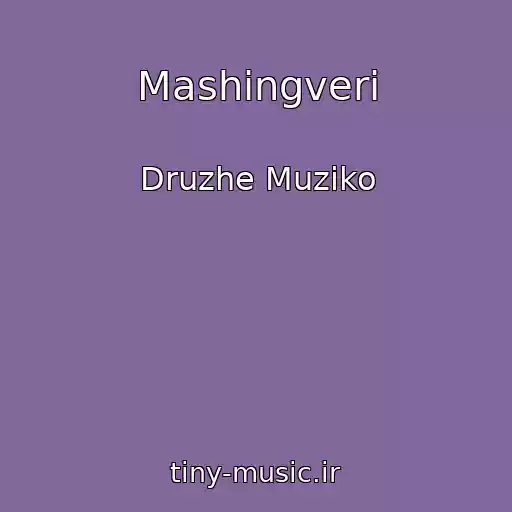 کاور آهنگ Mashingveri از Druzhe Muziko