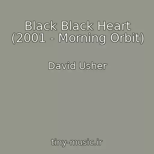 کاور آهنگ Black Black Heart (2001 - Morning Orbit) از David Usher