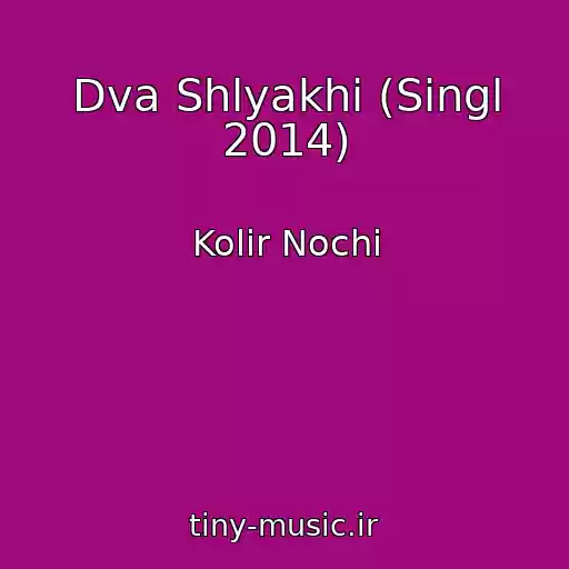 کاور آهنگ Dva Shlyakhi (Singl 2014) از Kolіr Nochі