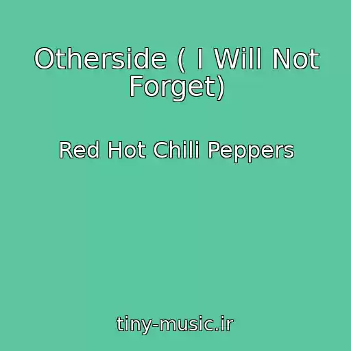 کاور آهنگ Otherside ( I Will Not Forget) از Red Hot Chili Peppers