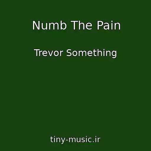 کاور آهنگ Numb The Pain از Trevor Something