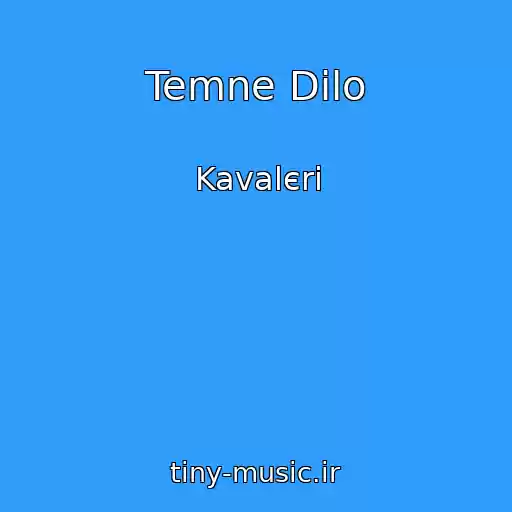 کاور آهنگ Temne Dilo از Kavalєri
