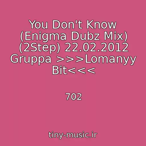 کاور آهنگ You Don't Know (Enigma Dubz Mix) (2Step) 22.02.2012 Gruppa >>>Lomanyy Bit<<< از 702