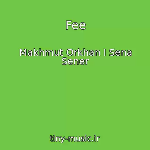 کاور آهنگ Fee از Makhmut Orkhan I Sena Sener