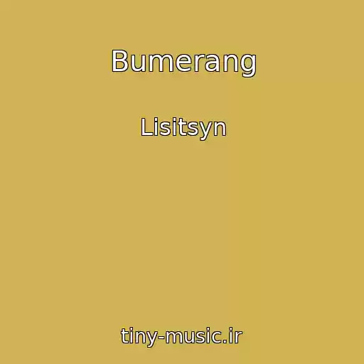 کاور آهنگ Bumerang از Lisitsyn