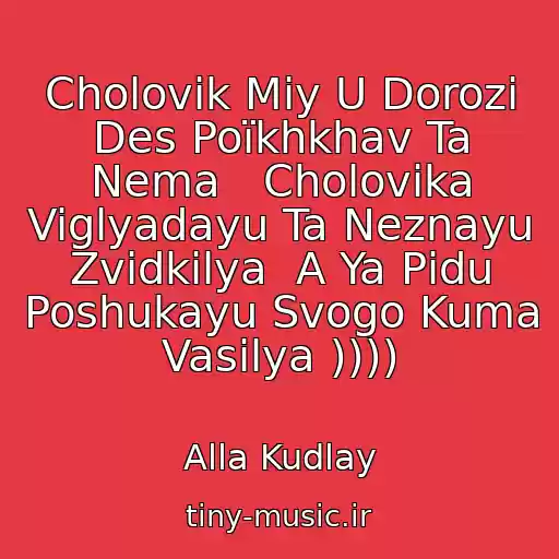 کاور آهنگ Cholovіk Mіy U Dorozі Des Poїkhkhav Ta Nema   Cholovіka Viglyadayu Ta Neznayu Zvіdkіlya  A Ya Pіdu Poshukayu Svogo Kuma Vasilya )))) از Alla Kudlay