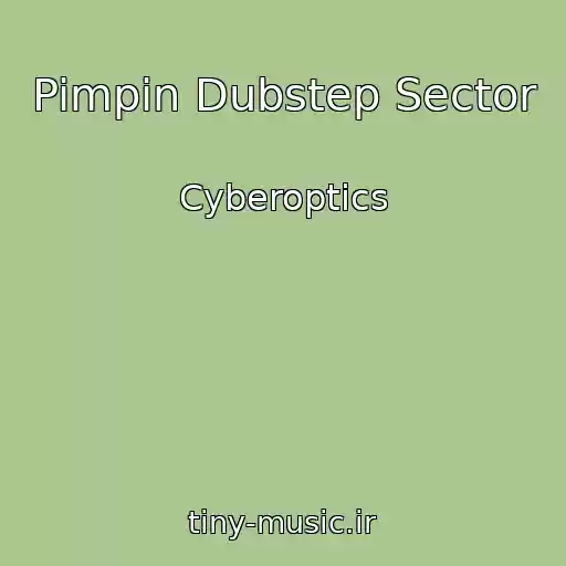 کاور آهنگ Pimpin Dubstep Sector از Cyberoptics