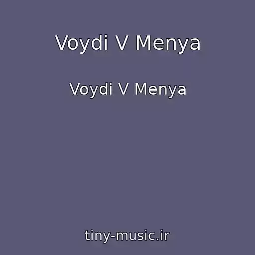 کاور آهنگ Voydi V Menya از Voydi V Menya