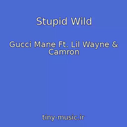 کاور آهنگ Stupid Wild از Gucci Mane Ft. Lil Wayne & Camron