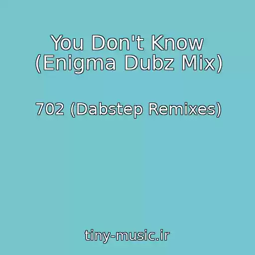 کاور آهنگ You Don't Know (Enigma Dubz Mix) از 702 (Dabstep Remixes)