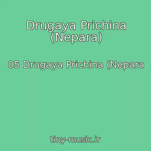 کاور آهنگ Drugaya Prichina (Nepara) از 05 Drugaya Prichina (Nepara