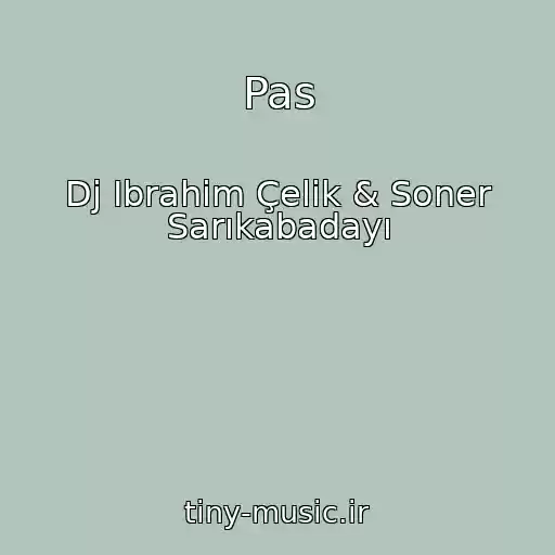 کاور آهنگ Pas از Dj Ibrahim Çelik & Soner Sarıkabadayı