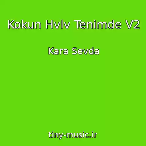 کاور آهنگ Kokun Hvlv Tenimde V2 از Kara Sevda