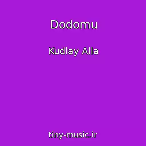 کاور آهنگ Dodomu از Kudlay Alla