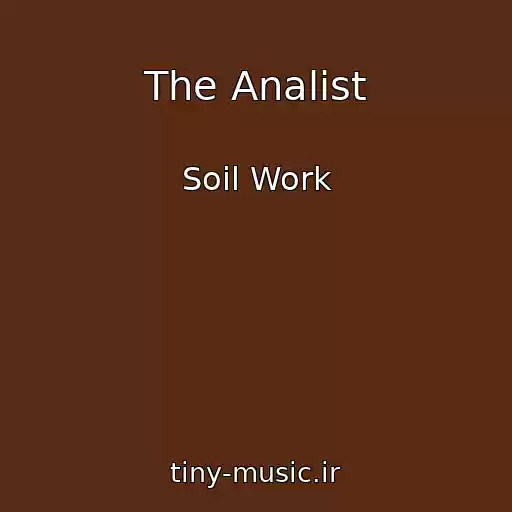 کاور آهنگ The Analist از Soil Work