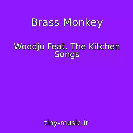 کاور آهنگ Brass Monkey از Woodju Feat. The Kitchen Songs