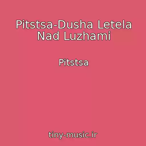 کاور آهنگ Pitstsa-Dusha Letela Nad Luzhami از Pitstsa