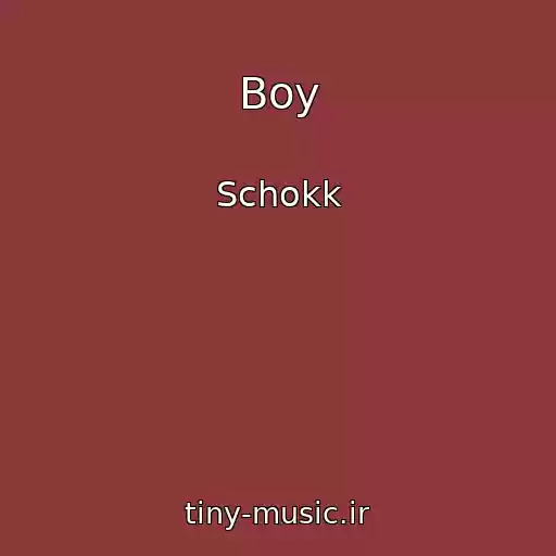 کاور آهنگ Boy از Schokk
