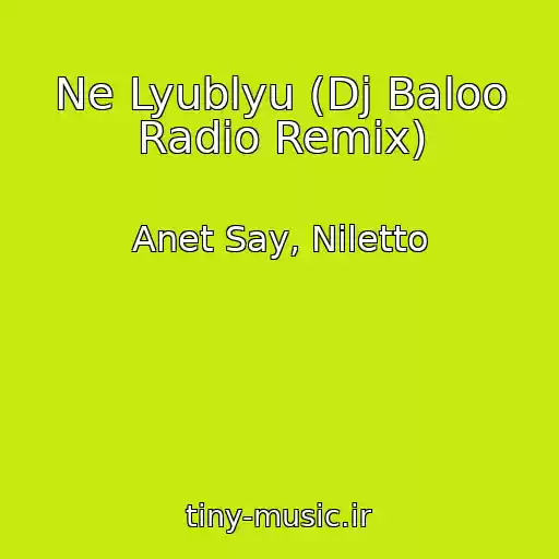 کاور آهنگ Ne Lyublyu (Dj Baloo Radio Remix) از Anet Say, Niletto