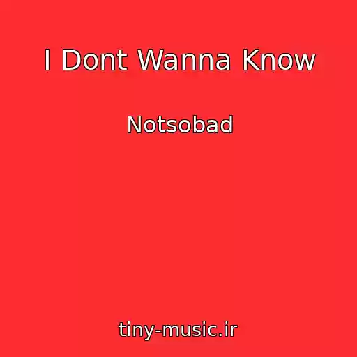 کاور آهنگ I Dont Wanna Know از Notsobad