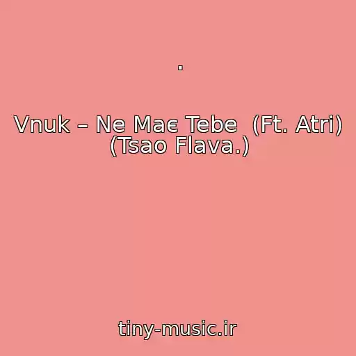 کاور آهنگ . از Vnuk – Ne Maє Tebe  (Ft. Atri) (Tsao Flava.)