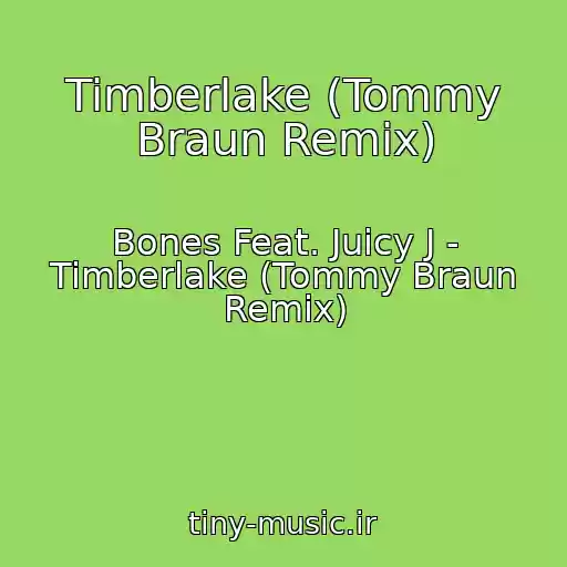 کاور آهنگ Timberlake (Tommy Braun Remix) از Bones Feat. Juicy J - Timberlake (Tommy Braun Remix)