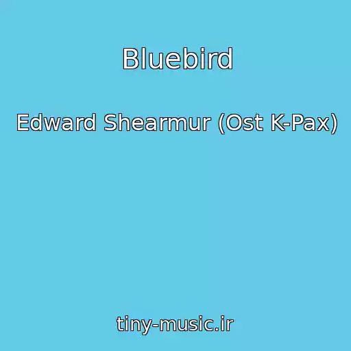کاور آهنگ Bluebird از Edward Shearmur (Ost K-Pax)