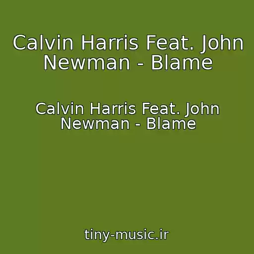 کاور آهنگ Calvin Harris Feat. John Newman - Blame از Calvin Harris Feat. John Newman - Blame